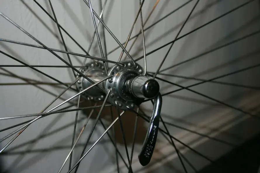 gazelle2 003.webp
