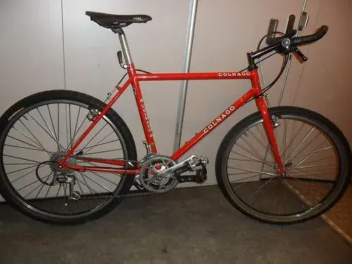 master mtb.webp