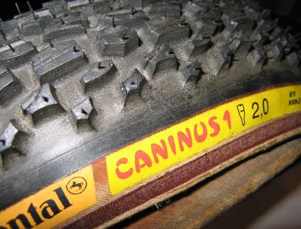 Caninus2.webp