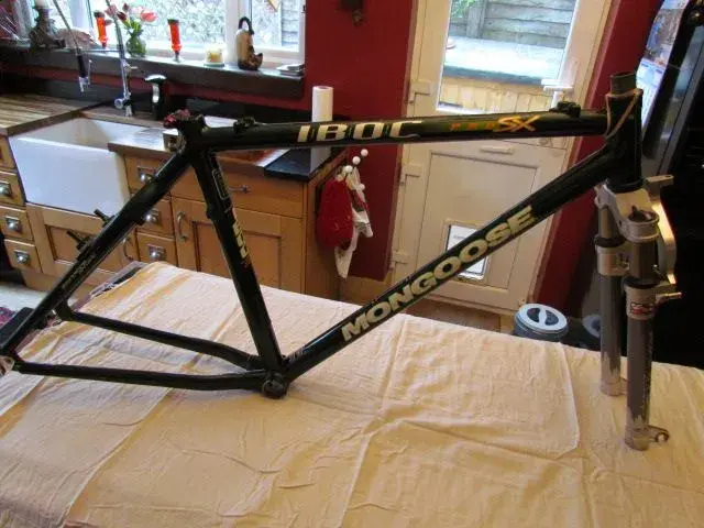 Mongoose IBOC Pro SX Carbon P1.webp