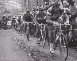 Tour of Flanders 1980.webp
