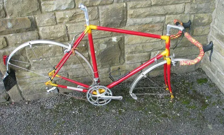 Russell's Red and Yellow Raleigh.A.webp