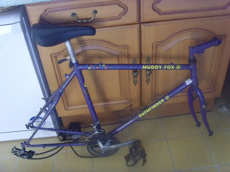 SNV37073.webp