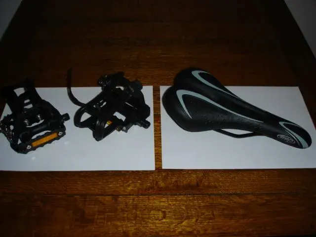 Saddle_pedals.webp