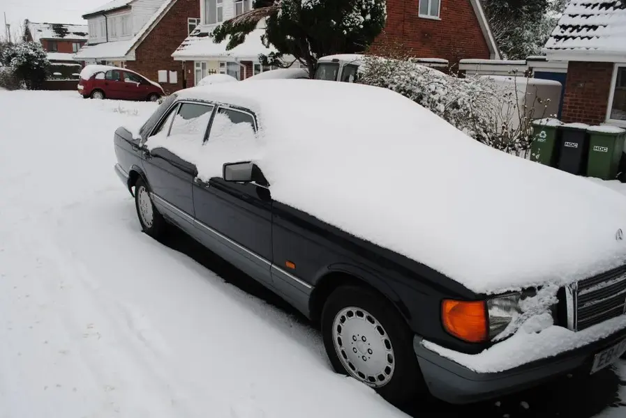 snowy merc.webp