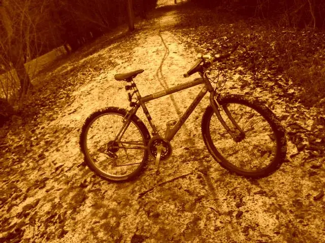 IMAG0008.webp
