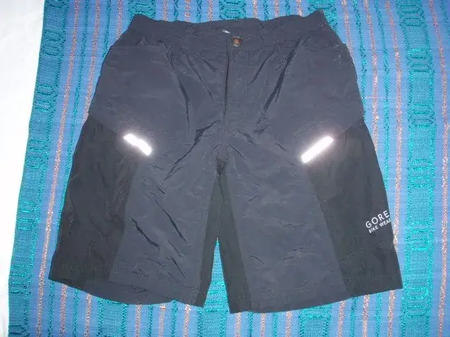 Gore Baggy Shorts.webp