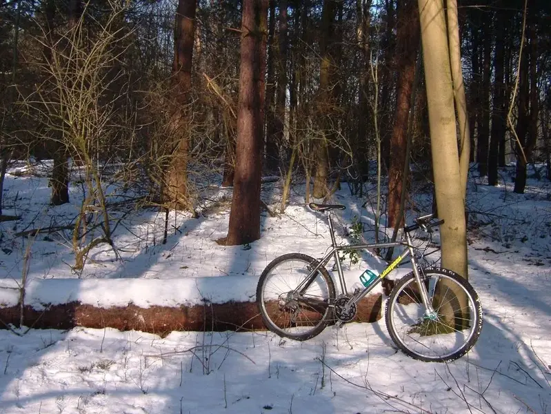 11th Feb 2012 Litespeed in the Snow 3.webp