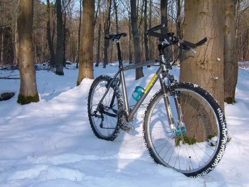 11th Feb 2012 Litespeed in the Snow 5.webp