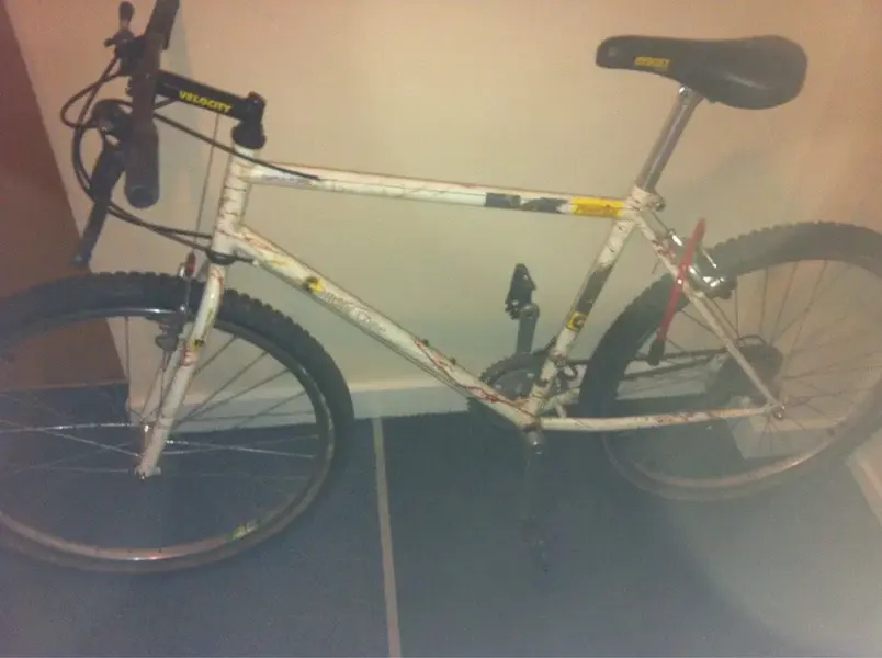 bike.webp