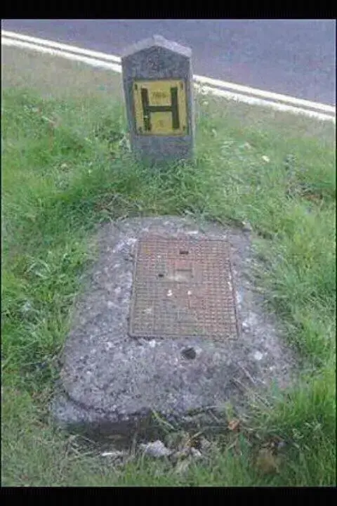 hfromsteps.webp