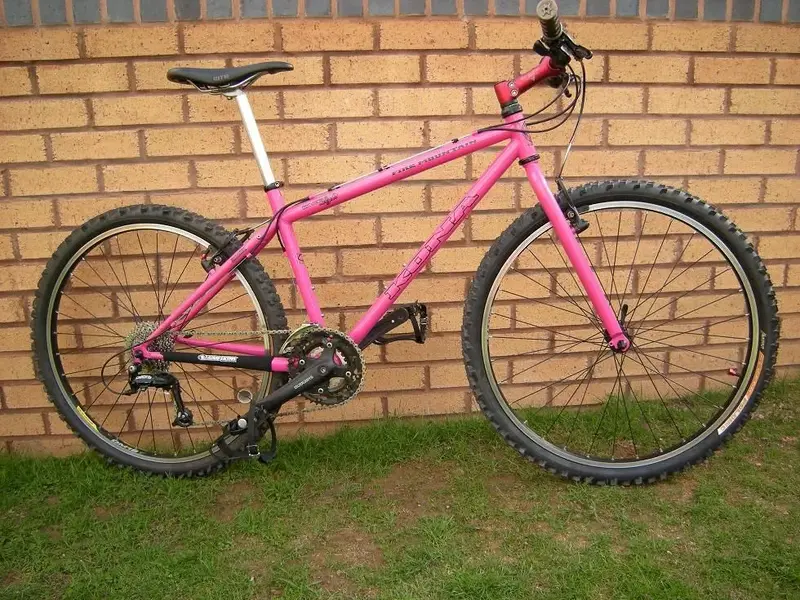 Pink Fire Mountain 4.webp