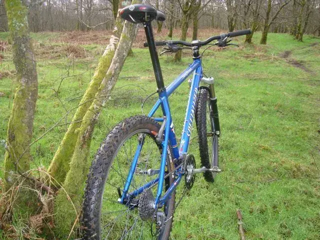 Stumpy3.webp