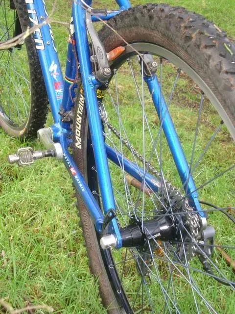 Stumpy4.webp