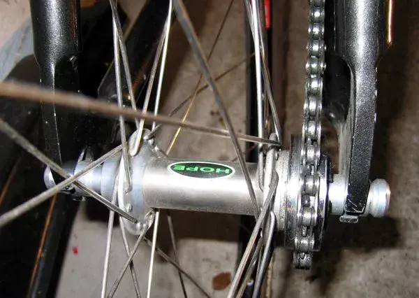 Klein_rear.webp