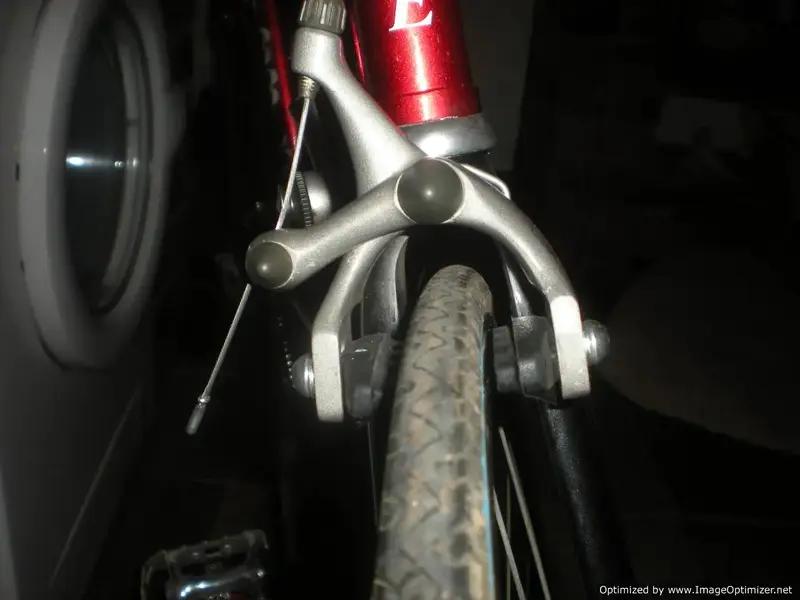 DSCN2141-Optimized.webp