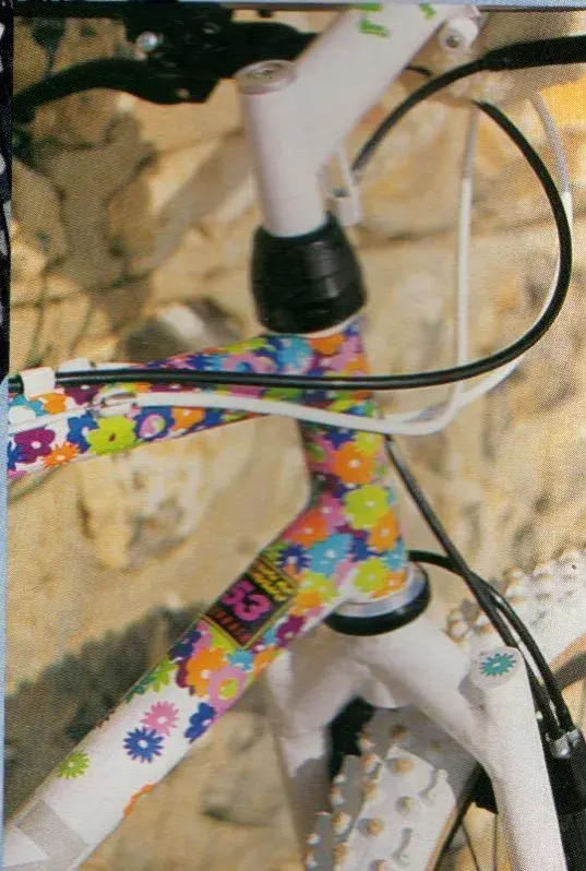 custom paint.webp
