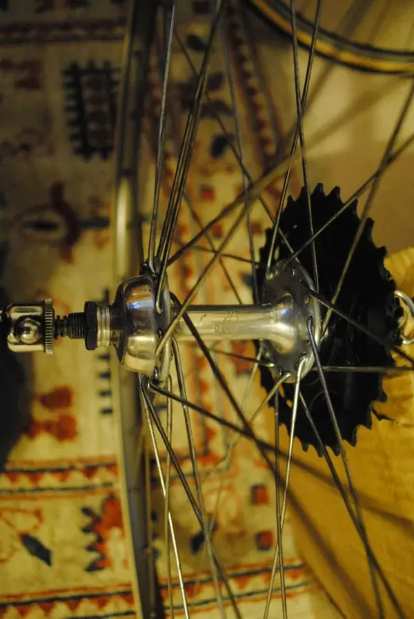 campagnolo rear.webp