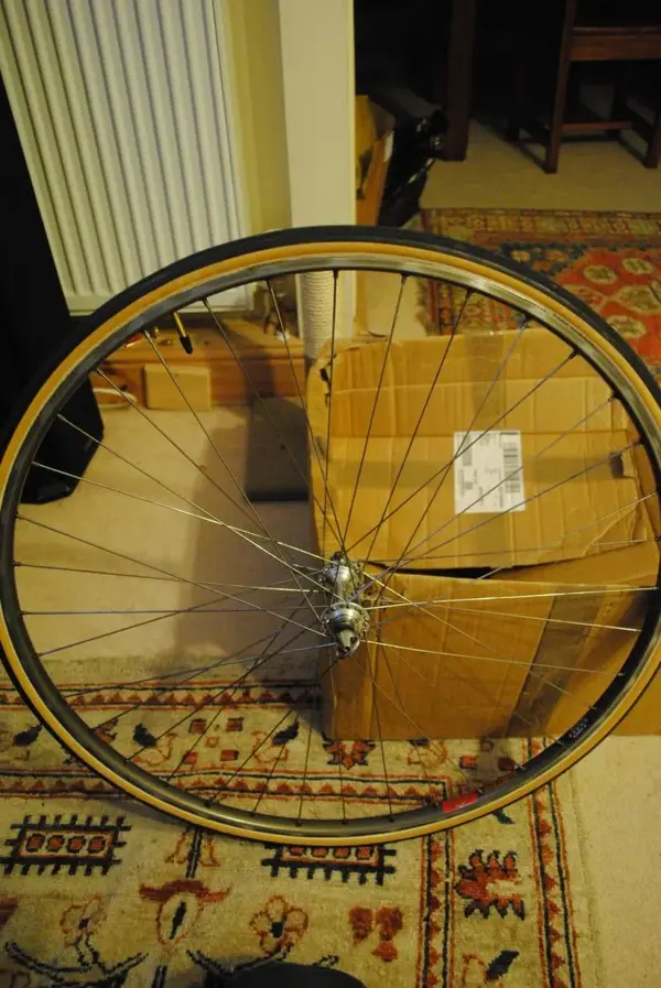campagnolo front.webp