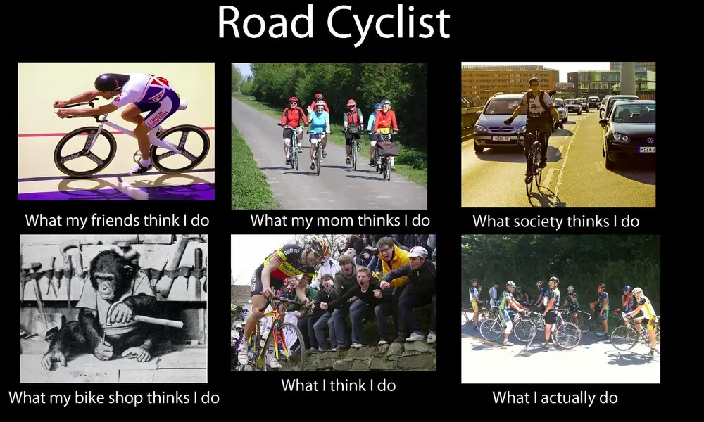 Cyclists.webp