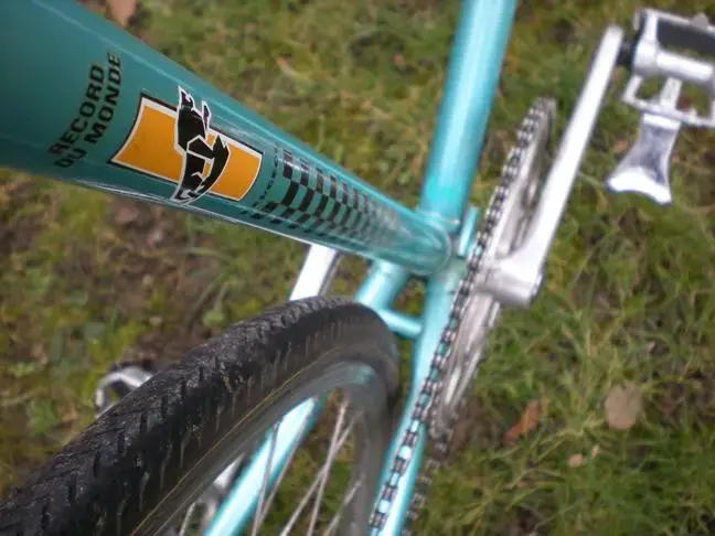 final_seattube.webp