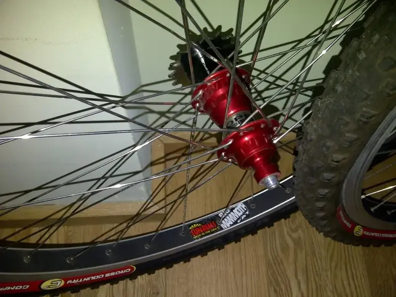IMG-20120219-00244c.webp