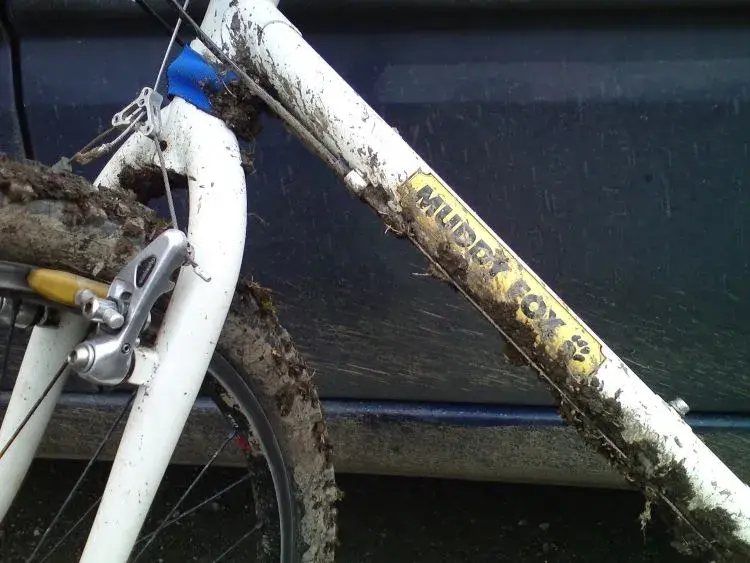 DSCmuddymuddy.webp