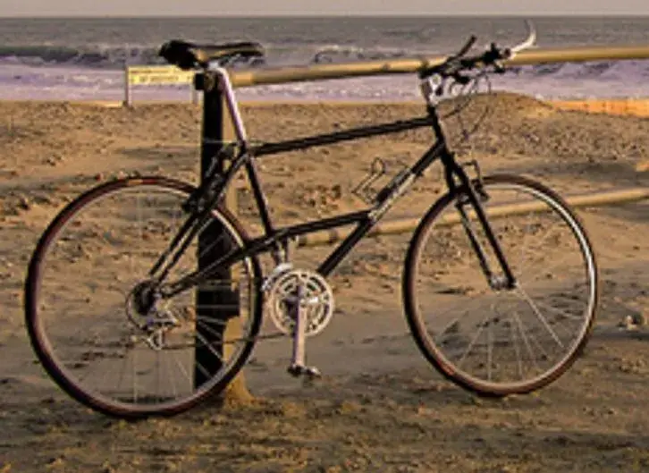 The.... Dave Lloyd E-stay.webp