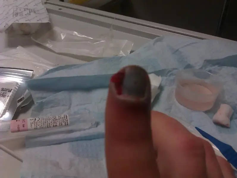 IMAG0288 (Large).webp