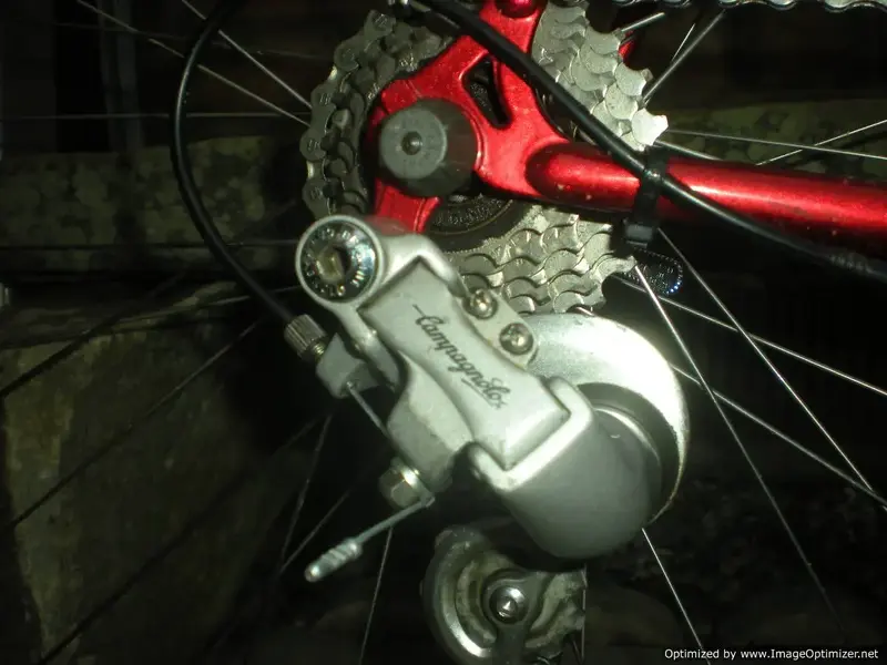 DSCN2169-Optimized.webp