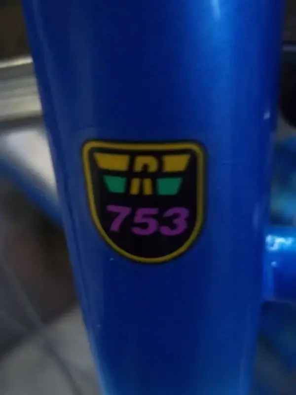 753.webp