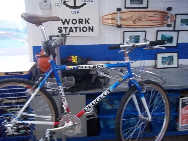 Roberts,peugeot,biglev.....replica Team bike..webp