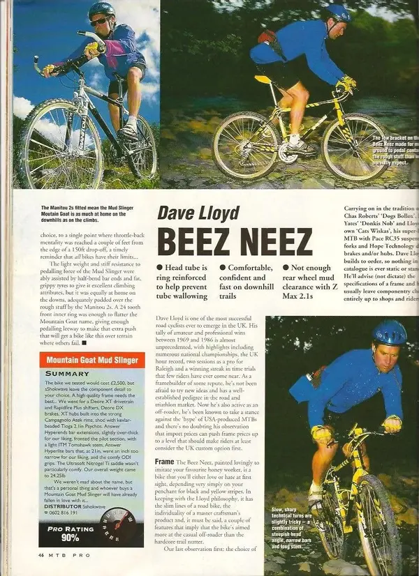 Dave LLoyd Bees pg1 001.webp