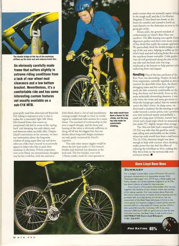 Dave Lloyd bees pg2 001.webp