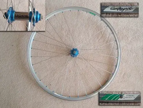 Wheel1.webp