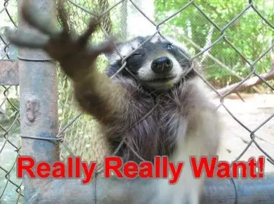 really_want.webp