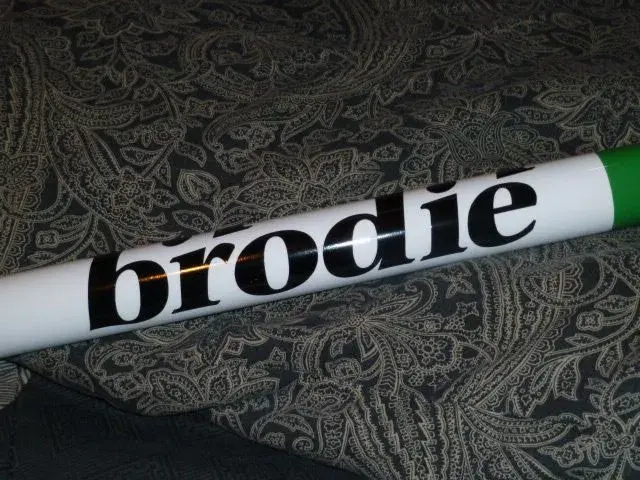 Brodie Painted 007.webp