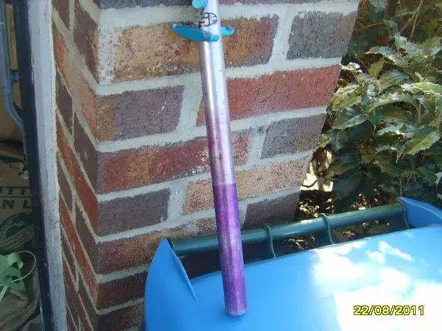 SV200598.webp
