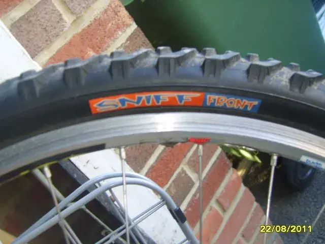 SV200620.webp
