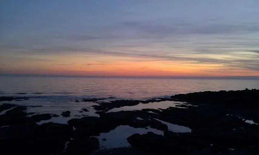 IMAG0661.webp