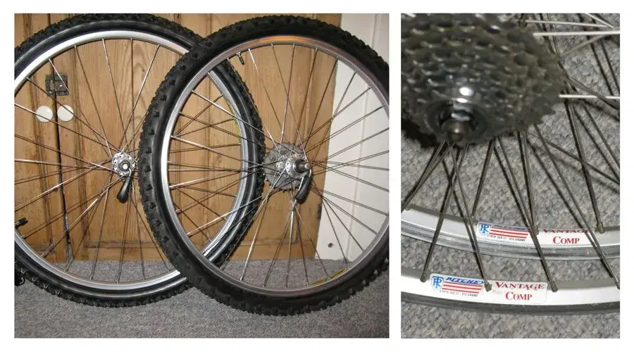 5wheels.webp