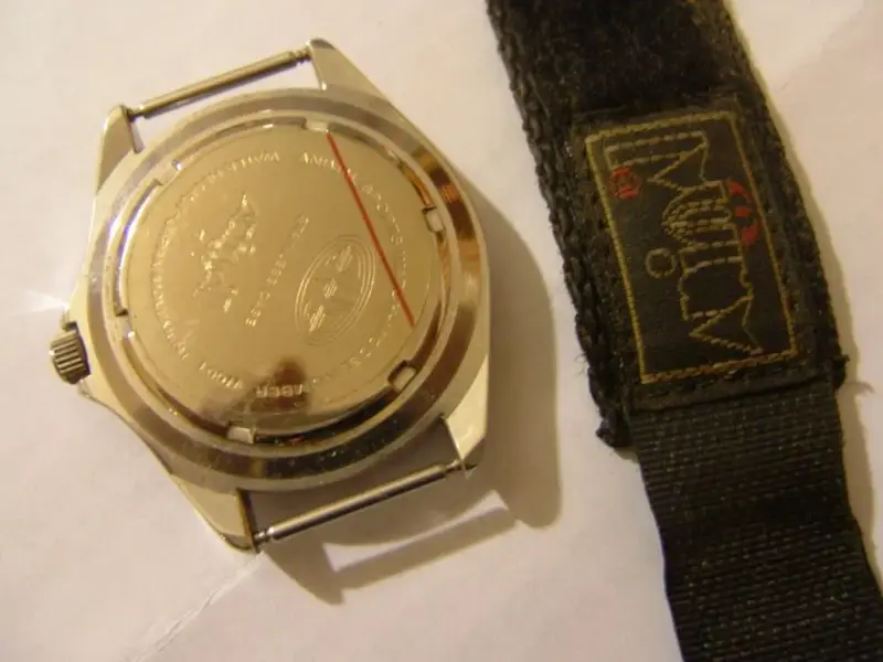Case back and orig. strap.webp