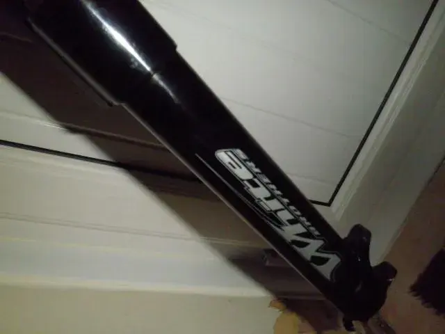 white brothers 124.webp
