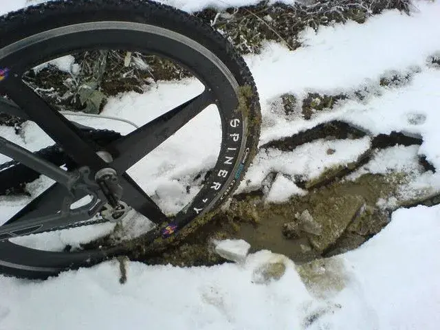 wheels 6.webp