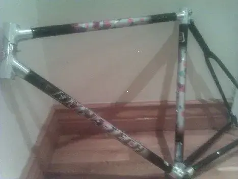 dyna f.webp