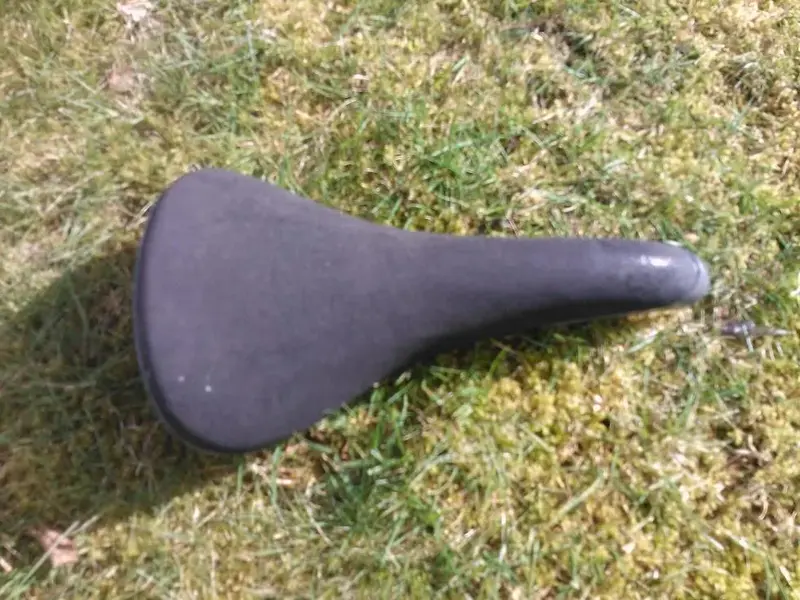 WP_000006.webp