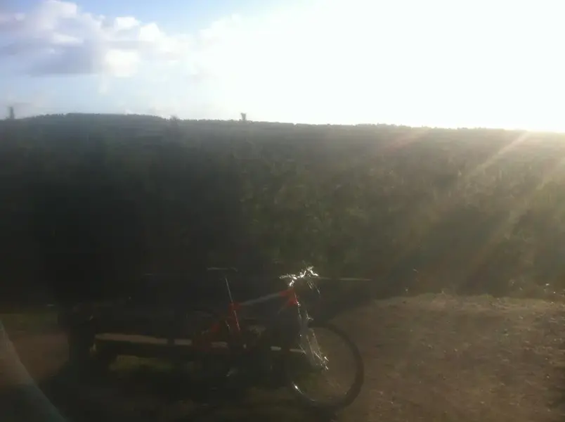 clockwork at cannock.webp