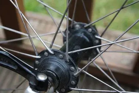 wheel (3).webp