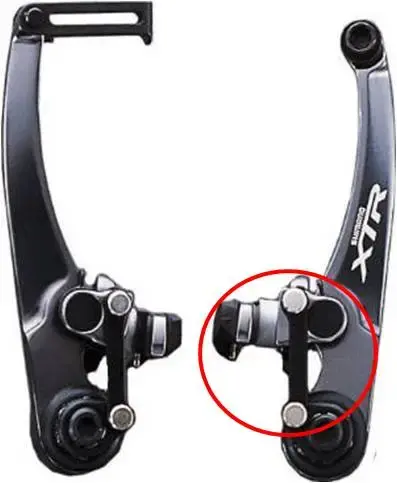 XTR.webp