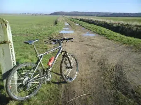 Bardney track to woods.webp